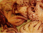 fresh-octopus