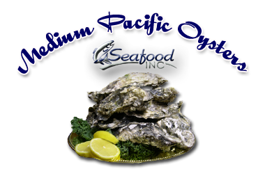 Medium Pacific Oysters