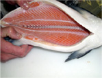 whole-chinook-salmon